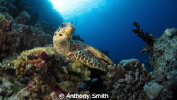 What do u want from me?.... by Anthony Smith 